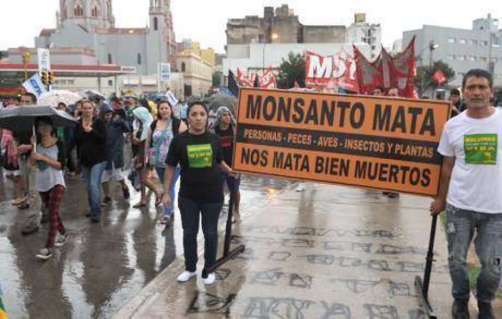 Monsanto: De la Sota prepara el terreno