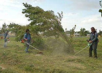 Tareas de limpieza en espacios verdes santarrose�os
