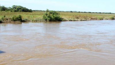 Inundaciones: hay 40 mil hect�reas afectadas por el agua en el departamento San Mart�n