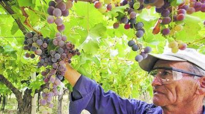 Un Malbec argentino fue elegido como el mejor tinto del mundo