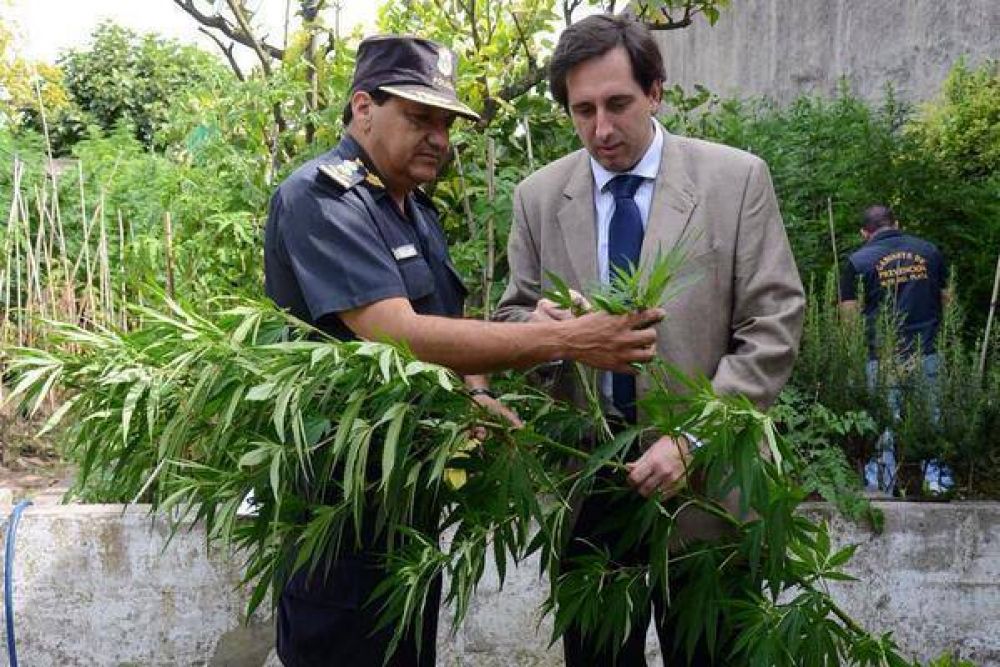 Me faltan 113 plantas