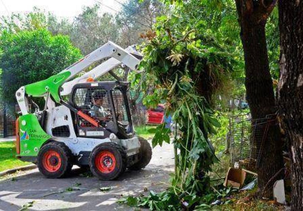 Se realizan trabajos de mejora edilicia y ambiental en las escuelas de San Fernando 