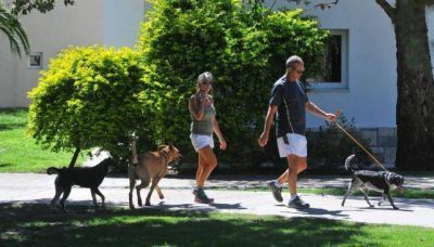 Despu�s de las lluvias, se espera un "finde" a pleno sol en C�rdoba