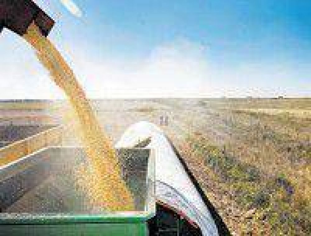 La cosecha de soja aportar casi 30 mil millones de dlares al pas