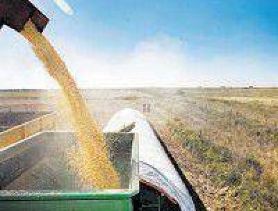 La cosecha de soja aportar� casi 30 mil millones de d�lares al pa�s