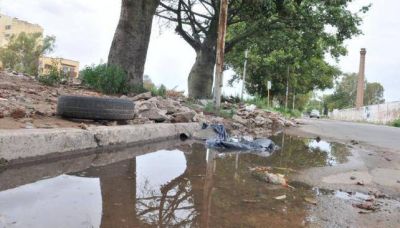 Dengue: las lluvias contribuyen a que haya m�s Aedes