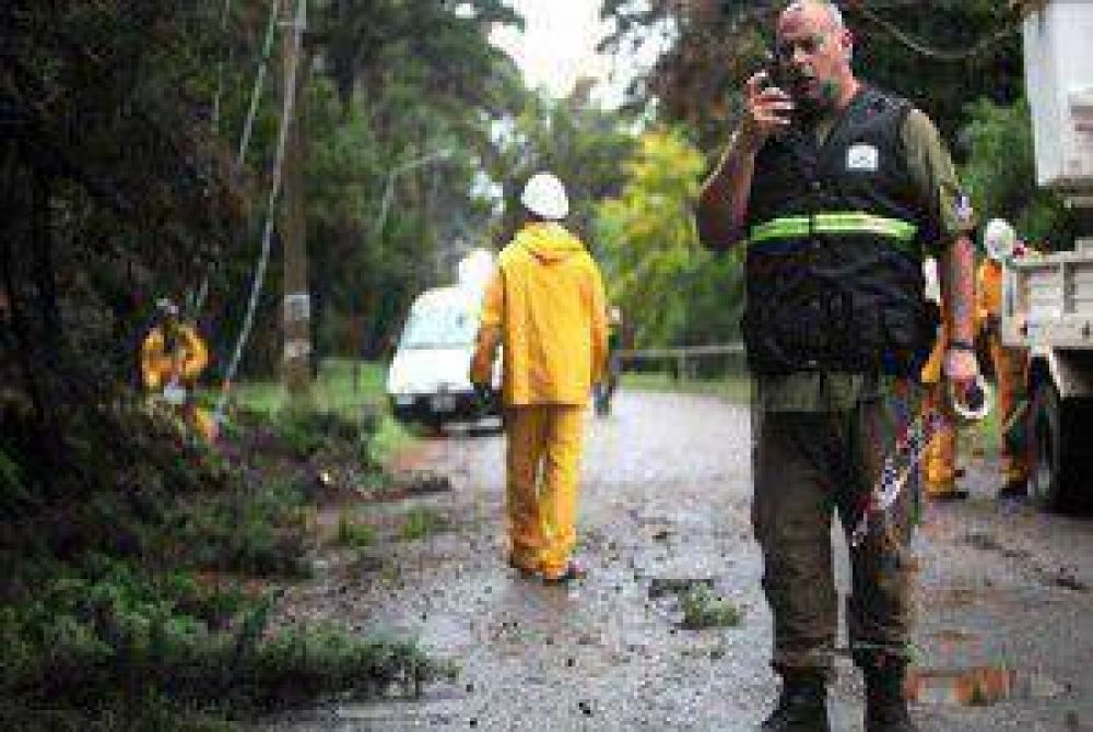 La tormenta dej� �rboles ca�dos, cables cortados y zonas anegadas