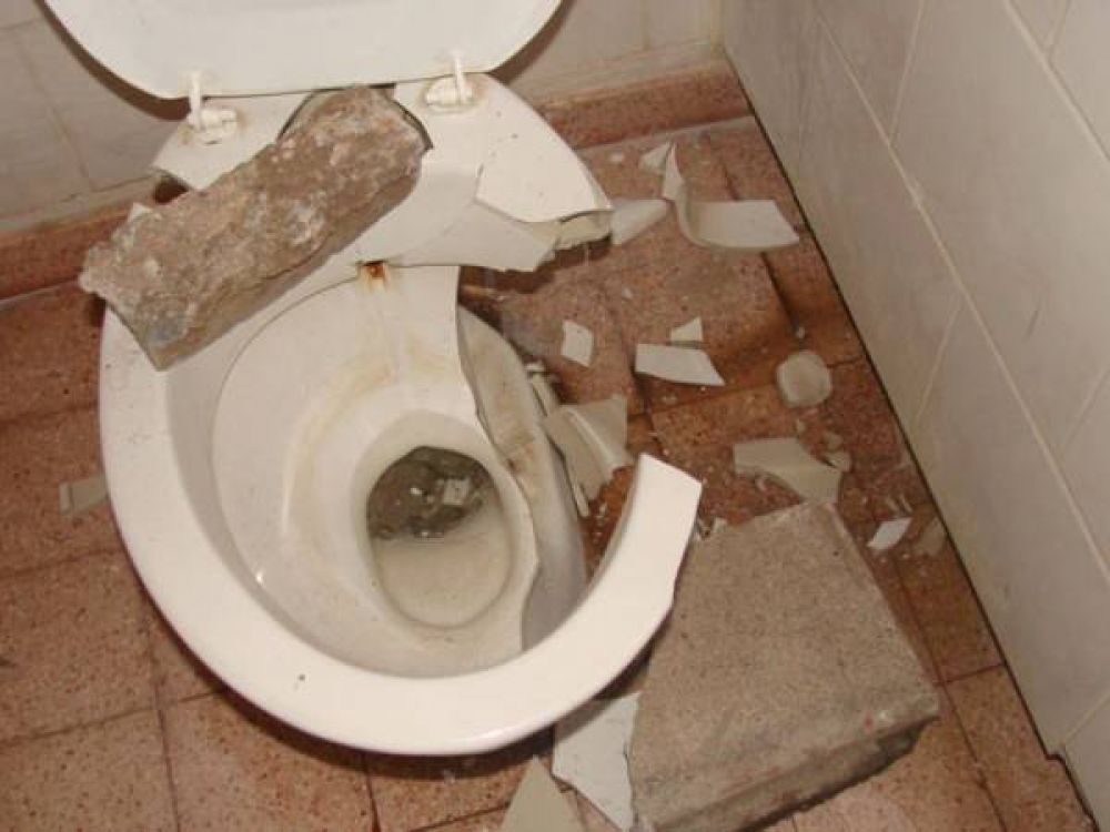 Rompieron sanitarios y tragaluces en la escuela N� 19