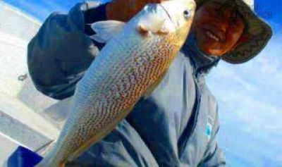 Jun�n: Fiesta del Pejerrey y Concurso de Pesca