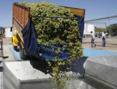 Bodegueros, expectantes por un cr�dito que demora