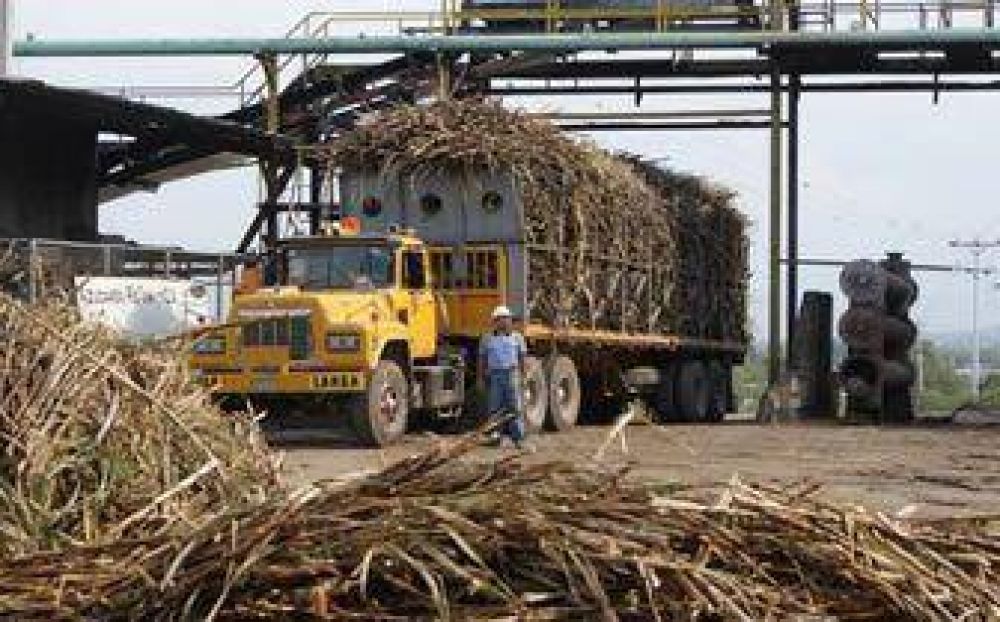 �La industria deber�a hacer algo en favor de los ca�eros�