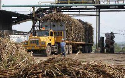 �La industria deber�a hacer algo en favor de los ca�eros�