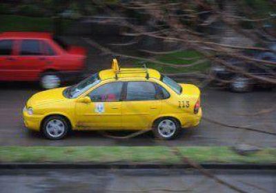 Taxistas no quieren GPS obligatorio y proponen mamparas de seguridad 