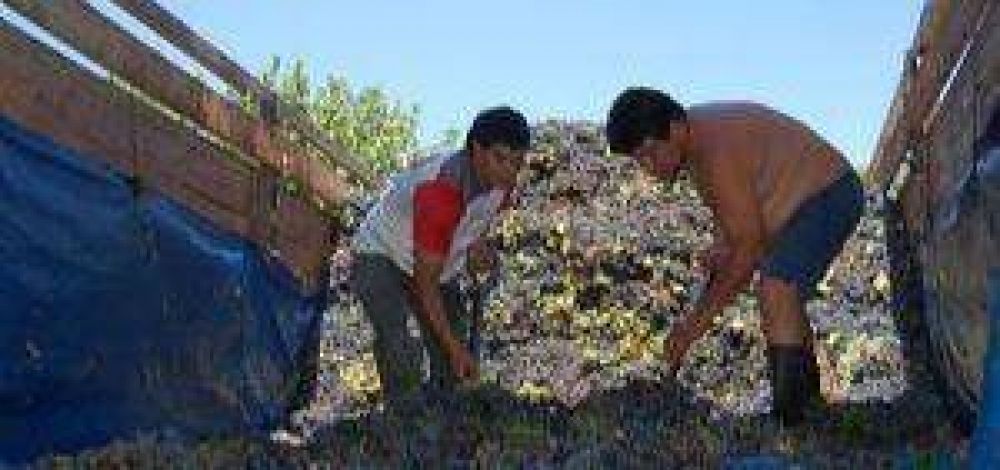 Bodegueros intimados a la conciliaci�n obligatoria