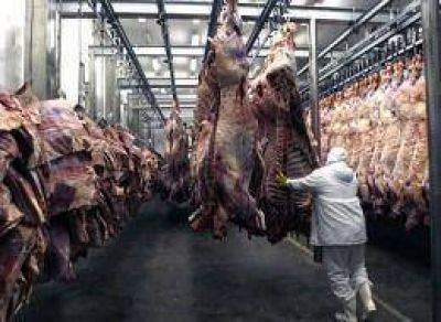 En los súper, la carne cuesta hasta 70% más que en las carnicerías