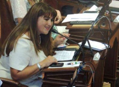 Plantean declarar a la educaci�n como un servicio p�blico esencial 