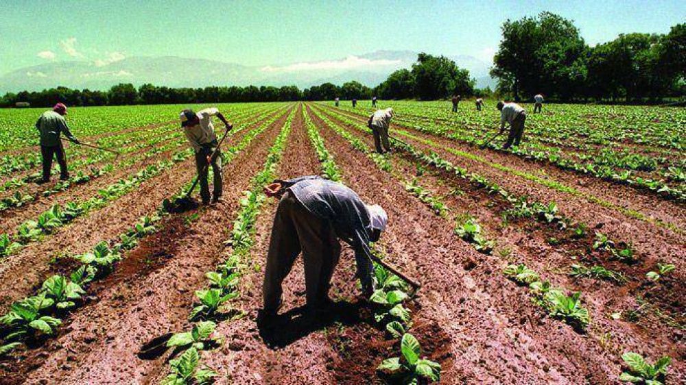 Se calcula que en Salta hay 10 mil trabajadores rurales en negro