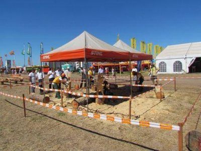 Los mejores motosierristas del pa�s son misioneros