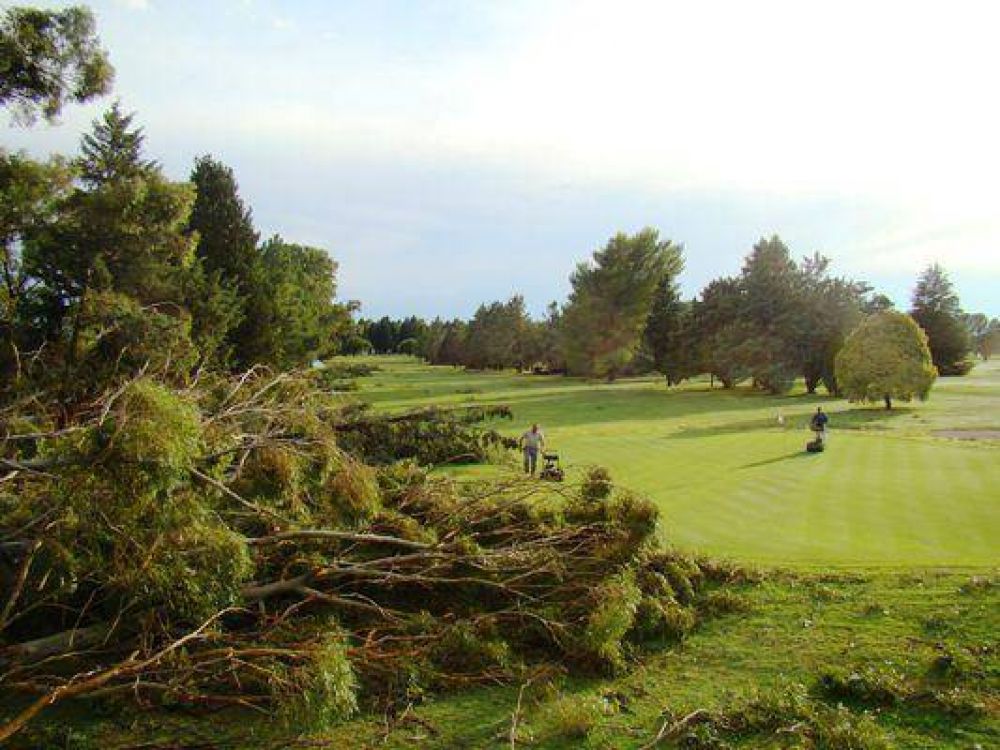 Tormentas da�aron unas 1.500 plantas
