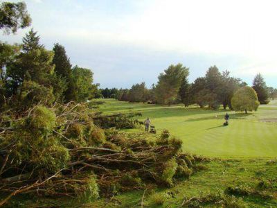 Tormentas da�aron unas 1.500 plantas