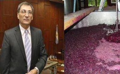�El proyecto del mosto no busca perjudicar la ca�a de az�car�