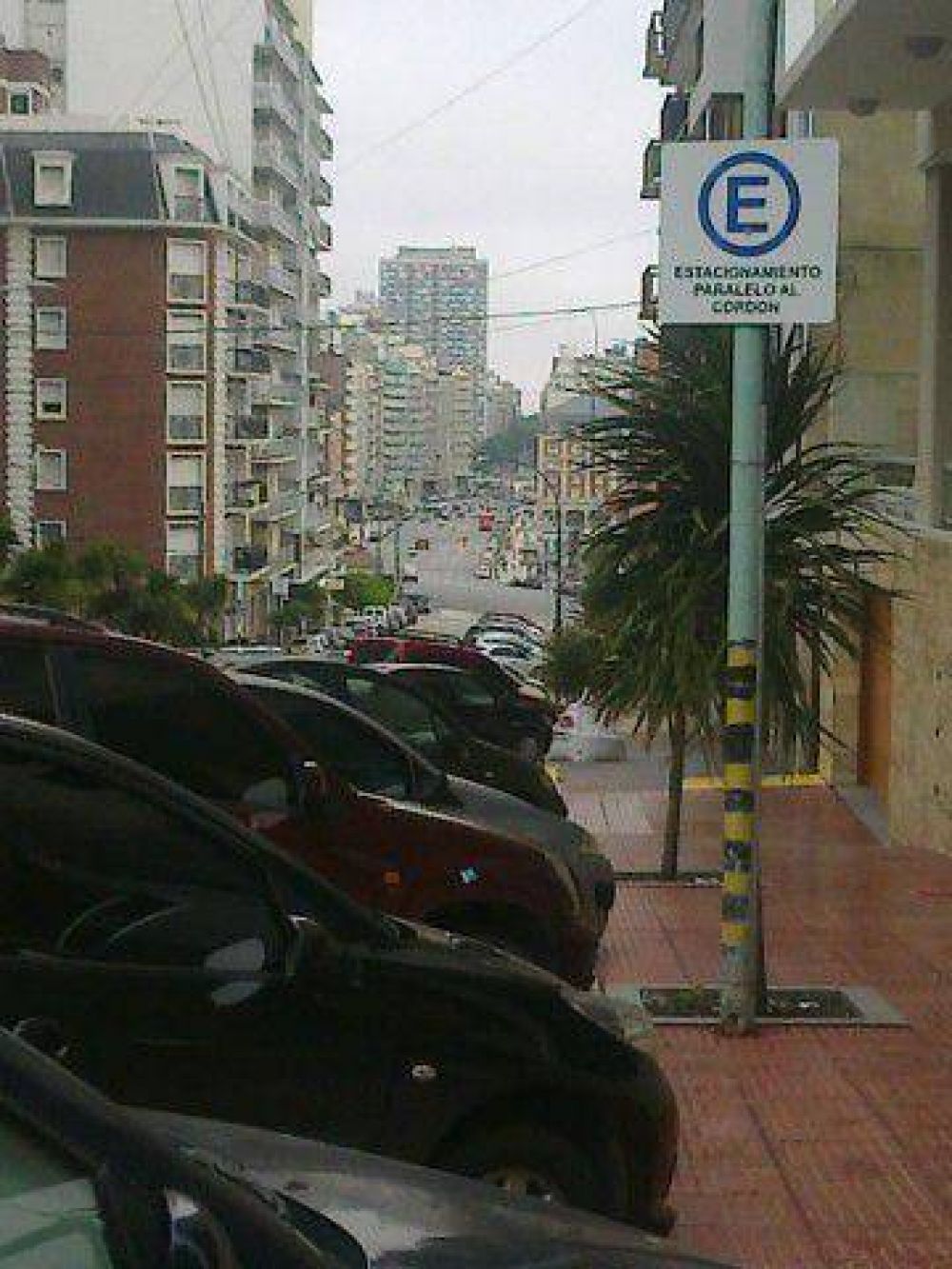 �Es un dilema estacionar en una ciudad colapsada por in�tiles�