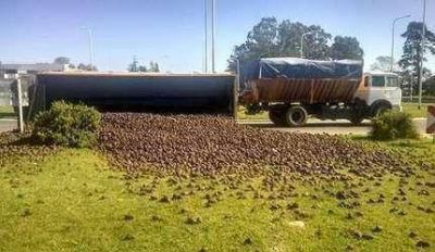 Un acoplado de un cami�n volc� su carga en la rotonda de la 226