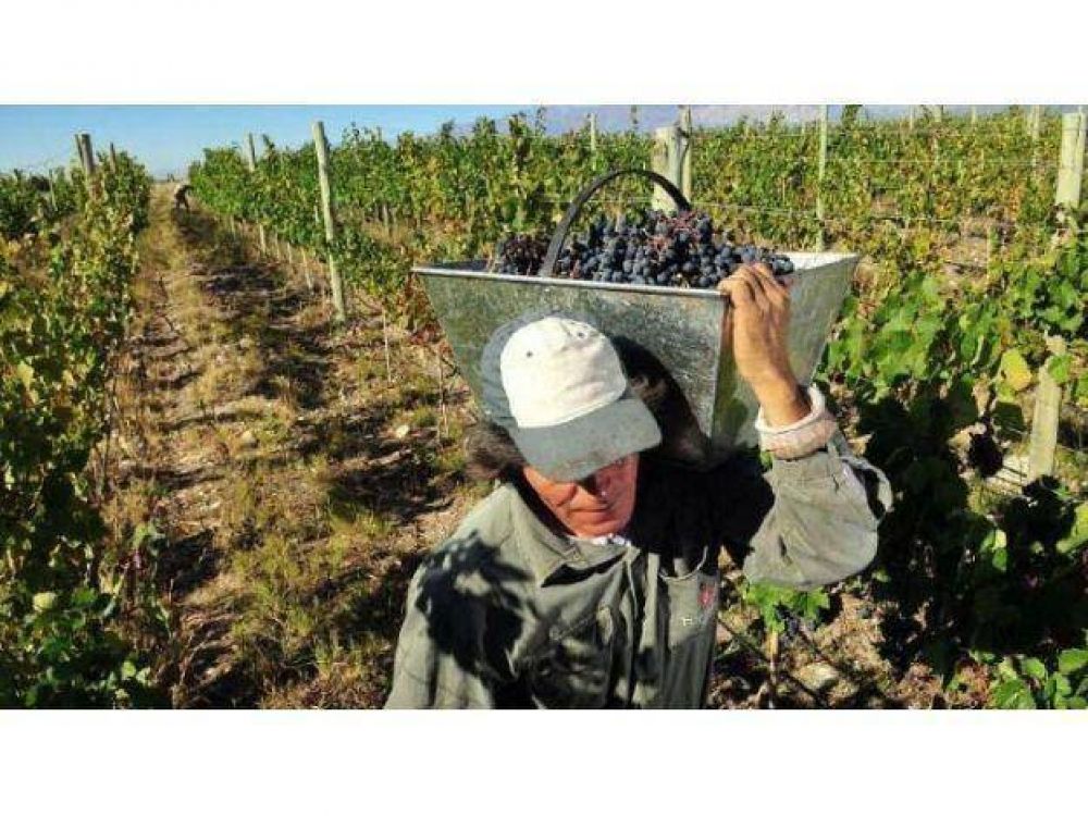Los productores advirtieron que bajos precios y menos exportaciones agravaron la crisis vitivin�cola