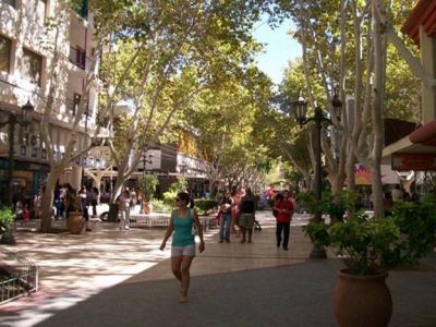 Por el feriado nacional el comercio no abrir� sus puertas este lunes