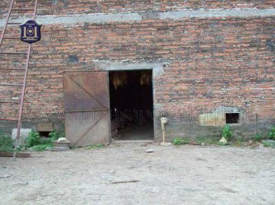Explotaci�n laboral en una finca de El Bordo.