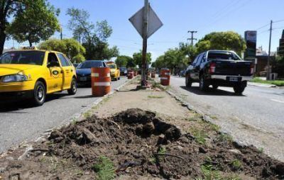 Afinan el cantero para el carril S�lo Bus en N��ez