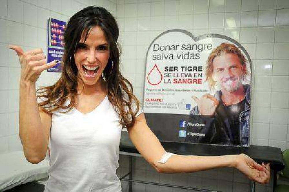 La Unidad M�vil de Extracci�n de Sangre comenzar� su recorrido en Pacheco 