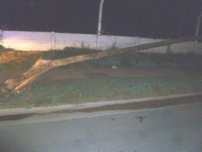 Choc� contra un poste de tel�fono y lo quebr�