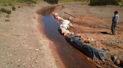 Atuel: descubrieron otro desv�o ilegal en Mendoza