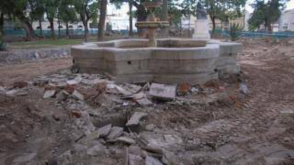 Presentan amparo para que no se sigan talando �rboles en la plaza