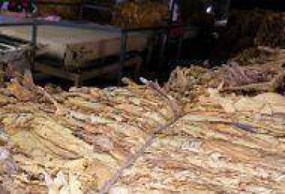 Tabaco chaque�o rumbo a Salta