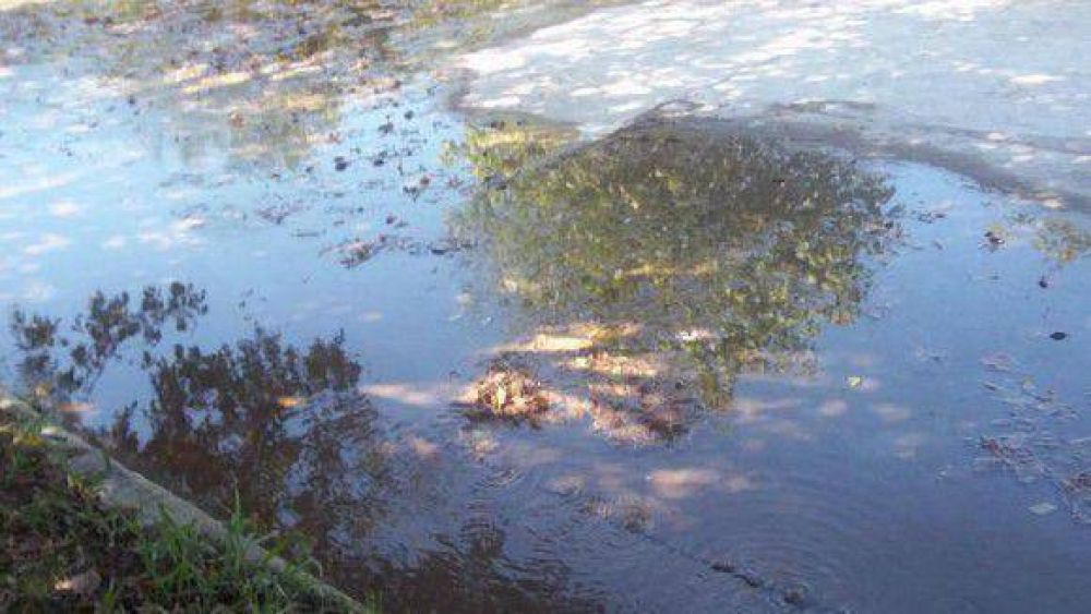 M�s agua en las calles que en las casas en Taf� Viejo