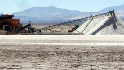 C�maras se organizan para proyecto de litio