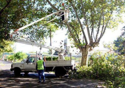 Tareas de despeje lum�nico en diferentes barrios de San Mart�n