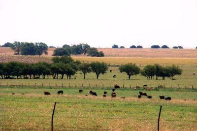 Tierras: Loventu�, con alta extranjerizaci�n