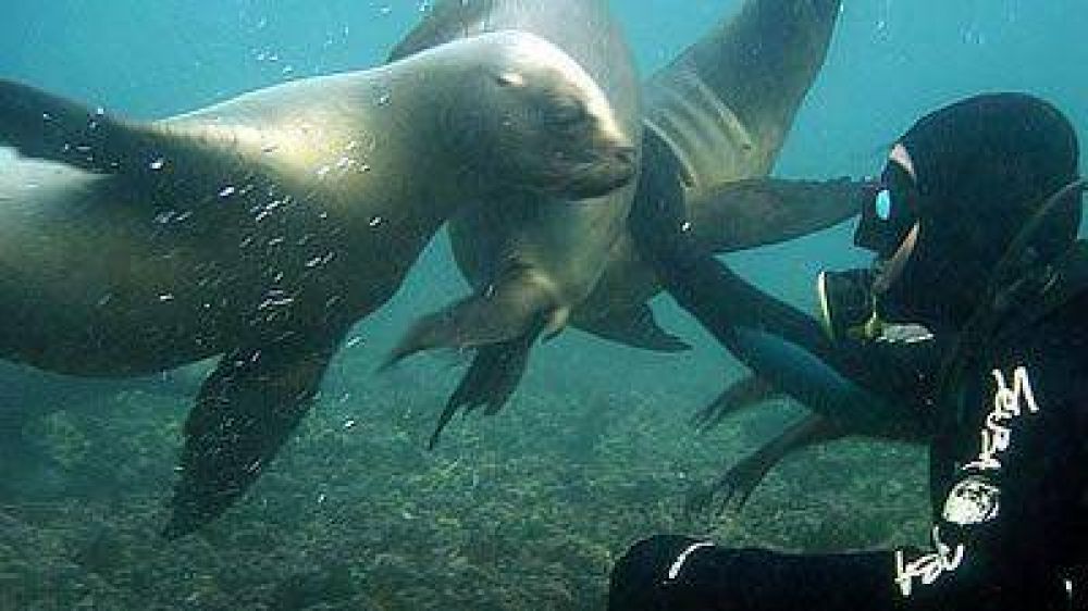 Esta temporada apostar�n al turismo brasilero