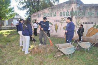 Aclaran que no hay nuevas inscripciones de Argentina Trabaja