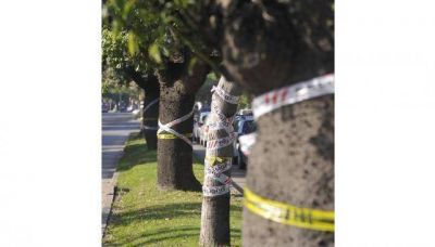 Vecinos de la N��ez ir�an a la Justicia para prohibir la tala