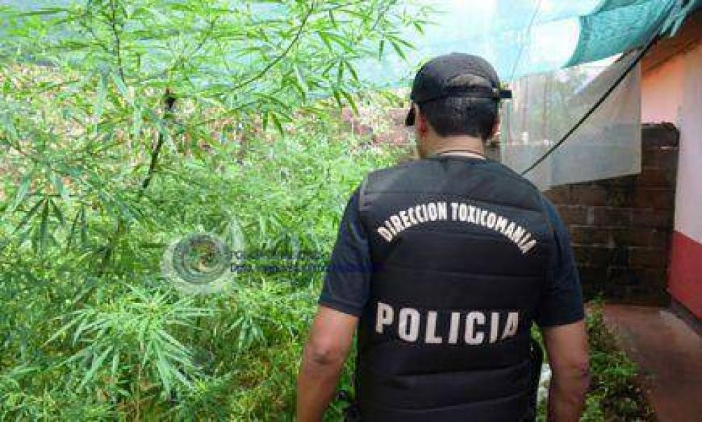 "Desde que se cre� la Direcci�n de Toxicoman�a, el trabajo esta en los barrios "