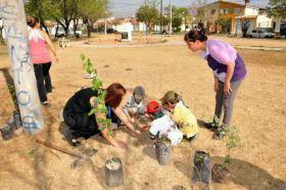Plantar�n 432 �rboles en toda la ciudad