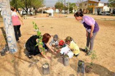 Plantar�n 432 �rboles en toda la ciudad