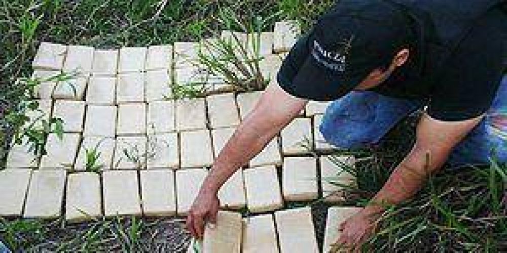 Incautan m�s de 250 kg. de marihuan