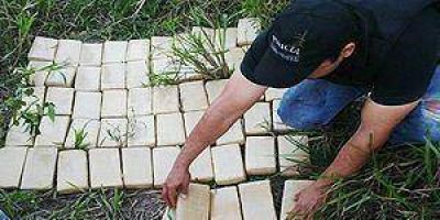 Incautan m�s de 250 kg. de marihuan
