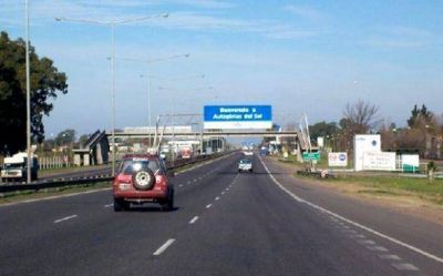 Le piden a Autopistas del Sol que alambre Panamericana para evitar accidente con animales