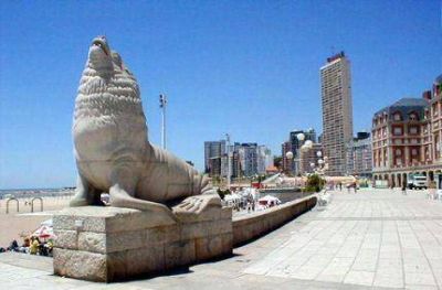 �Fiorvanti nos minti�? Los lobos marinos de la Bristol de Mar del Plata ser�an obra de un esloveno